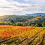 Private Transfer from Rome to Umbria