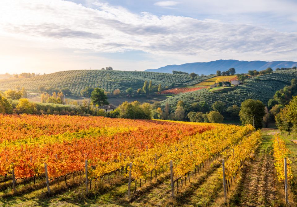 Private Transfer from Rome to Umbria